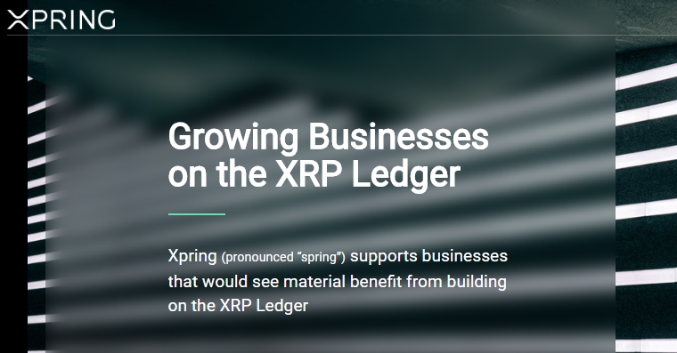 Blockchain startup Ripple to grow businesses on XRP ledger with Xpring initiative