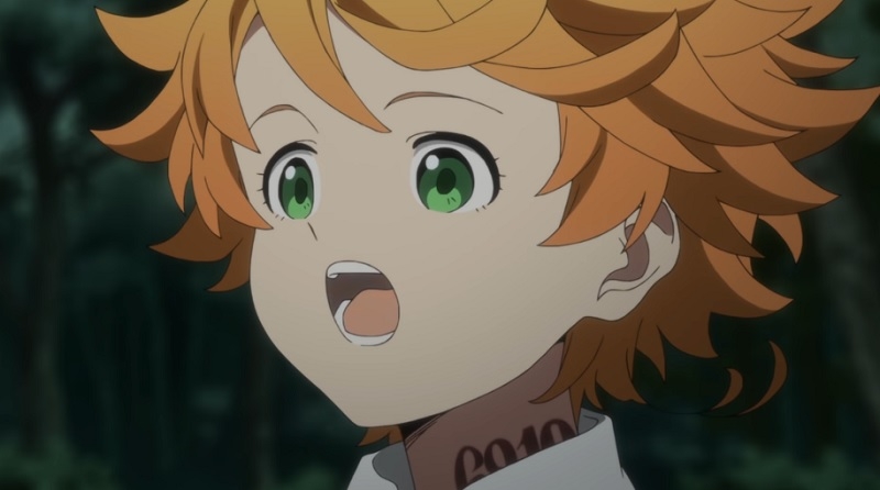 ‘The Promised Neverland’ Season 2 Release Date, Spoilers: Anime's ...