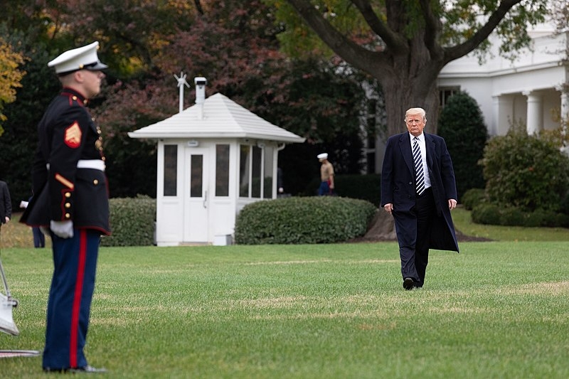 Donald Trump reportedly feared Democrats would replace Joe Biden with Michelle Obama, says new book - Vimarsana News