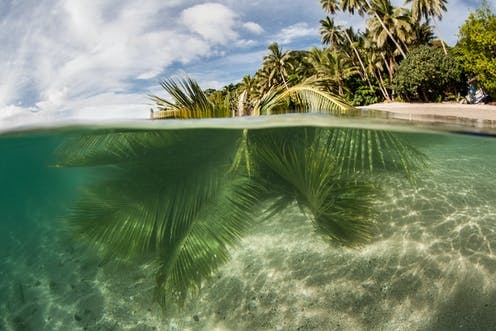 How ancient beliefs in underwater worlds can shed light in a time of rising sea levels - Vimarsana News