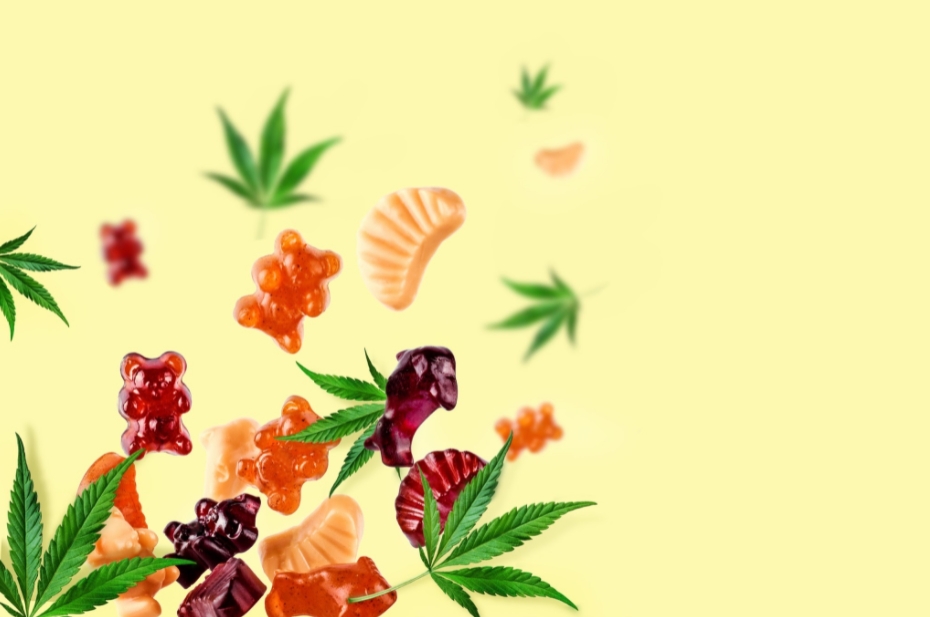 Delicious and Dainty: 10 Reasons to Consume CBD Gummies - Vimarsana News