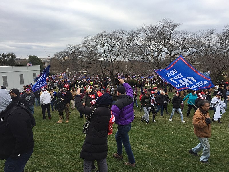 Capitol riots: Trump supporter pleads guilty to threatening journalist's family during insurrection - Vimarsana News