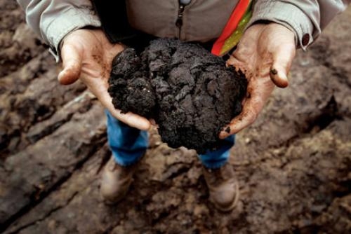 The Big Four oilsands companies' influence threatens Alberta democracy, argues political scientist - Vimarsana News