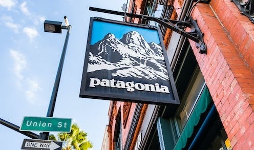 Has Patagonia defined a new gold standard for business responsibility? - Vimarsana News